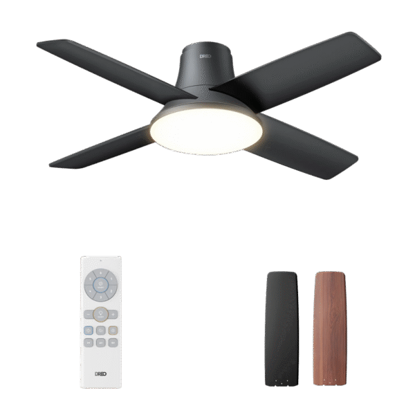 Ceiling Fan CLF513